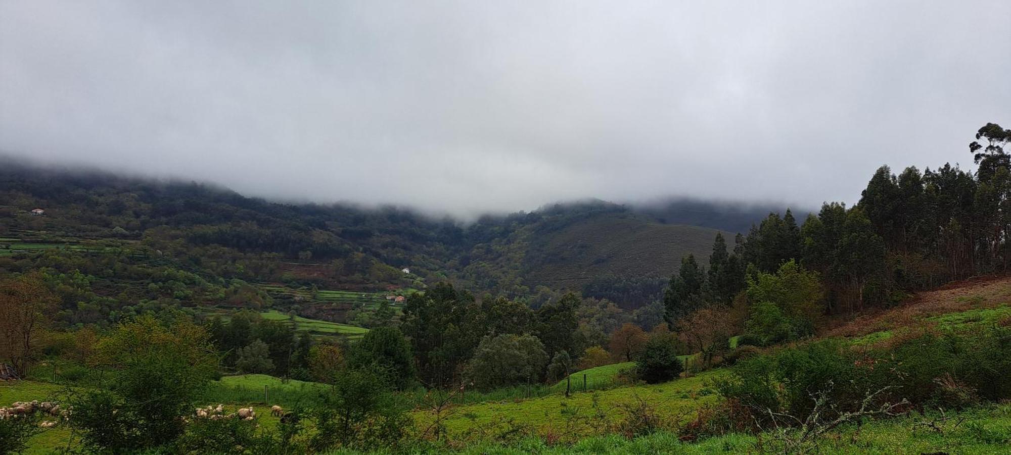 Refugio Dos Cartolas Sao Mamede de Infesta Luaran gambar